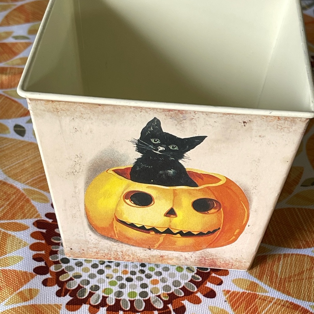 Halloween Cat Pumpkin Decorative 4” container. Perfect for plant, candy….